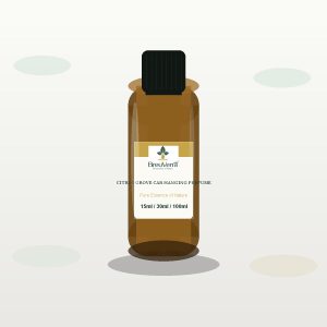 Citrus Grove Car Hanging Perfume